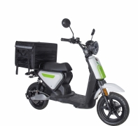 GTS E-Delivery Elektrisch